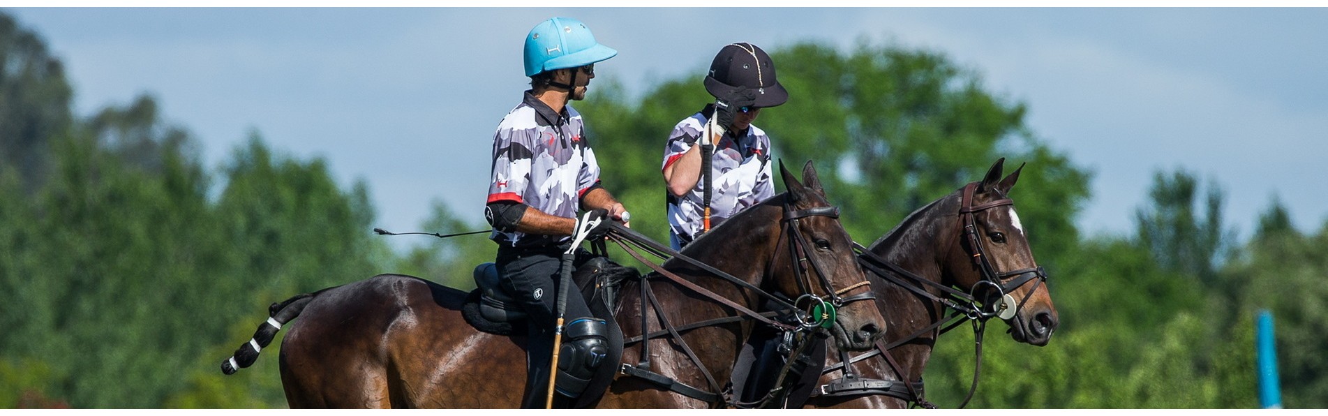 https://www.kronopolo.com/image/cache/catalog/BLOG%20PHOTOS/polo%20handicap-1903x596.jpg