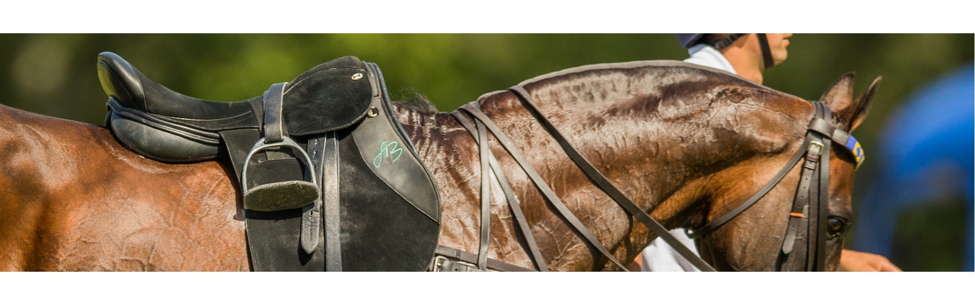 https://www.kronopolo.com/image/cache/catalog/BLOG%20PHOTOS/the%20best%20polo%20saddles-1903x596.jpg