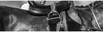 Does Equipment Weight Really Matter in Polo?