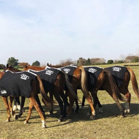 Polo Field Blankets