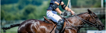 WHAT IS HIGH GOAL POLO?