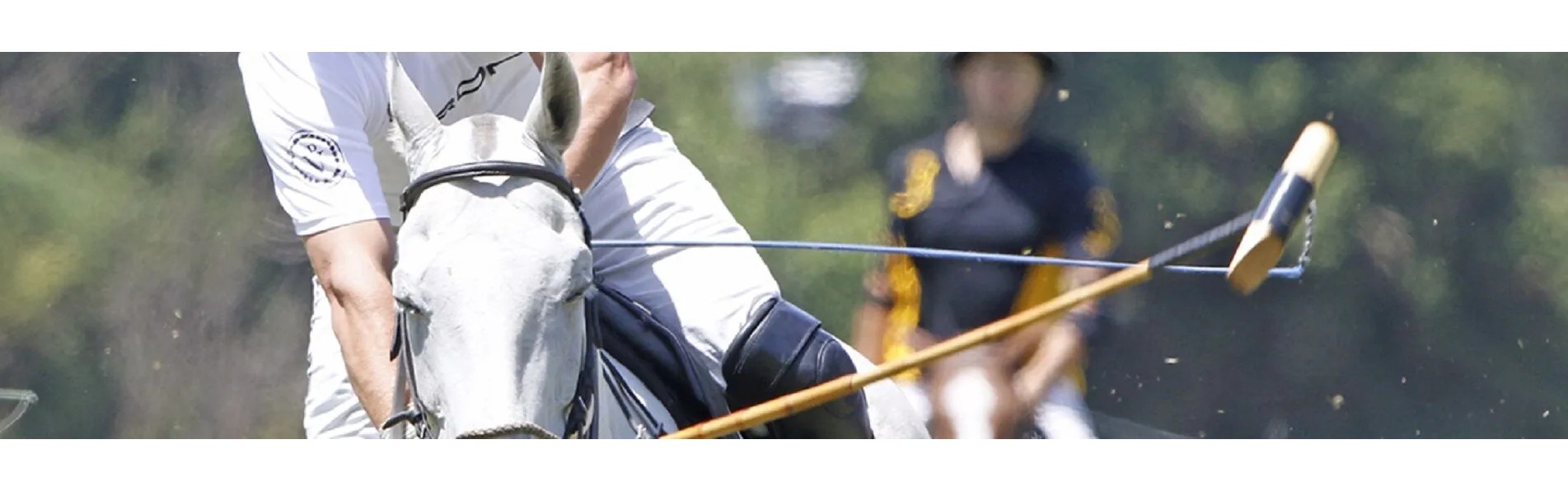 https://www.kronopolo.com/image/cache/catalog/Blog/banner%203/polo%20mallets%20by%20krono%20polo-1903x596.jpg