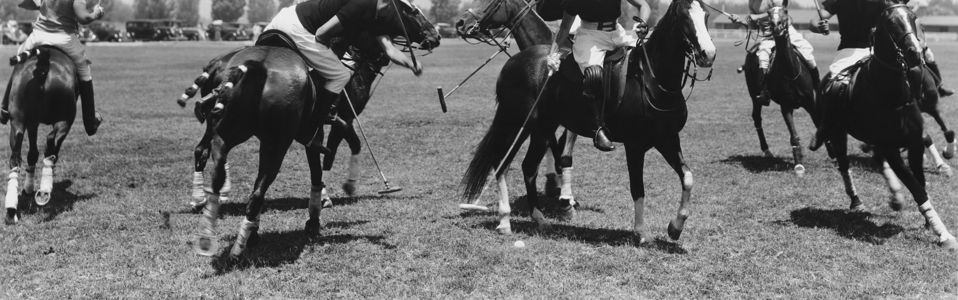 https://www.kronopolo.com/image/cache/catalog/Blog/polo-horses-stop-better-1903x596.png