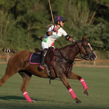 Navy and Pink Helmet
