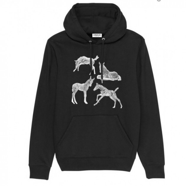 Playing Foal Hoodie Playing Foal Hoodie