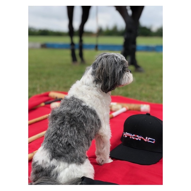 Krono British Flag Hat