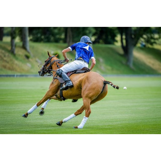 Custom Polo Helmet 