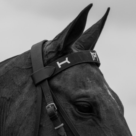 Custom Browbands