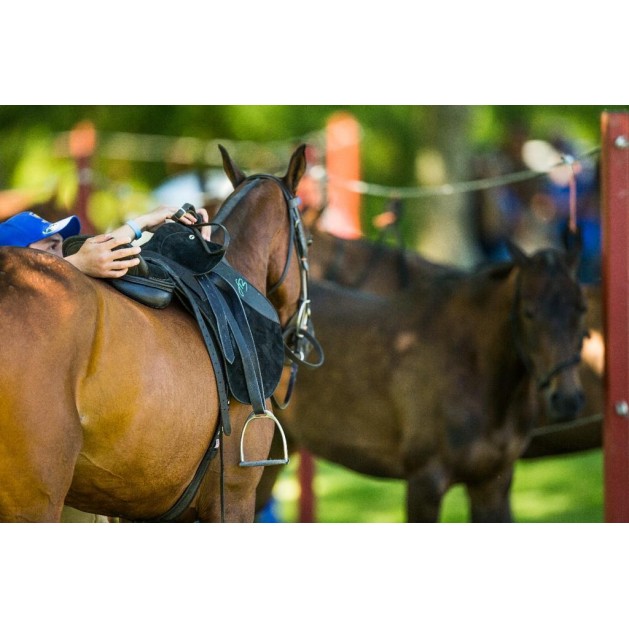 High Goal Polo Saddle High Goal Polo Saddle