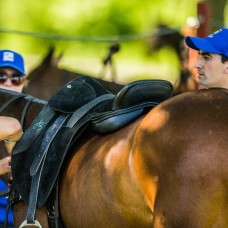 High Goal Polo Saddle