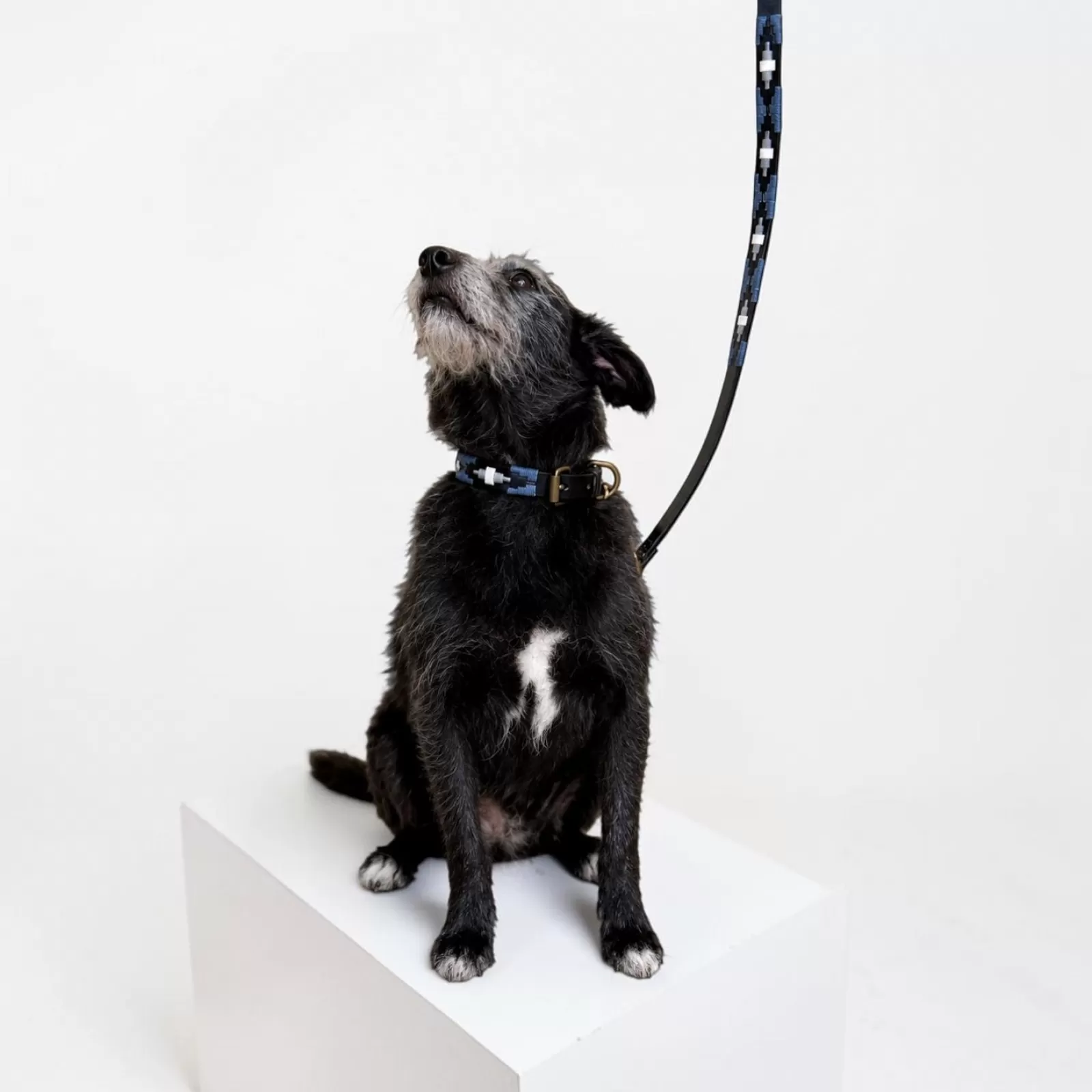 DOG LEAD - La Indiana DOG LEAD - La Indiana
