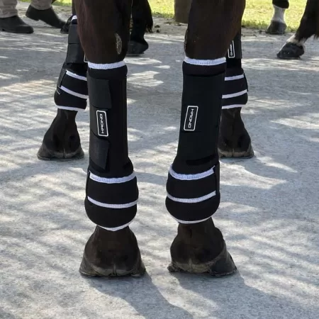Krono Horse Boots Hind (White)