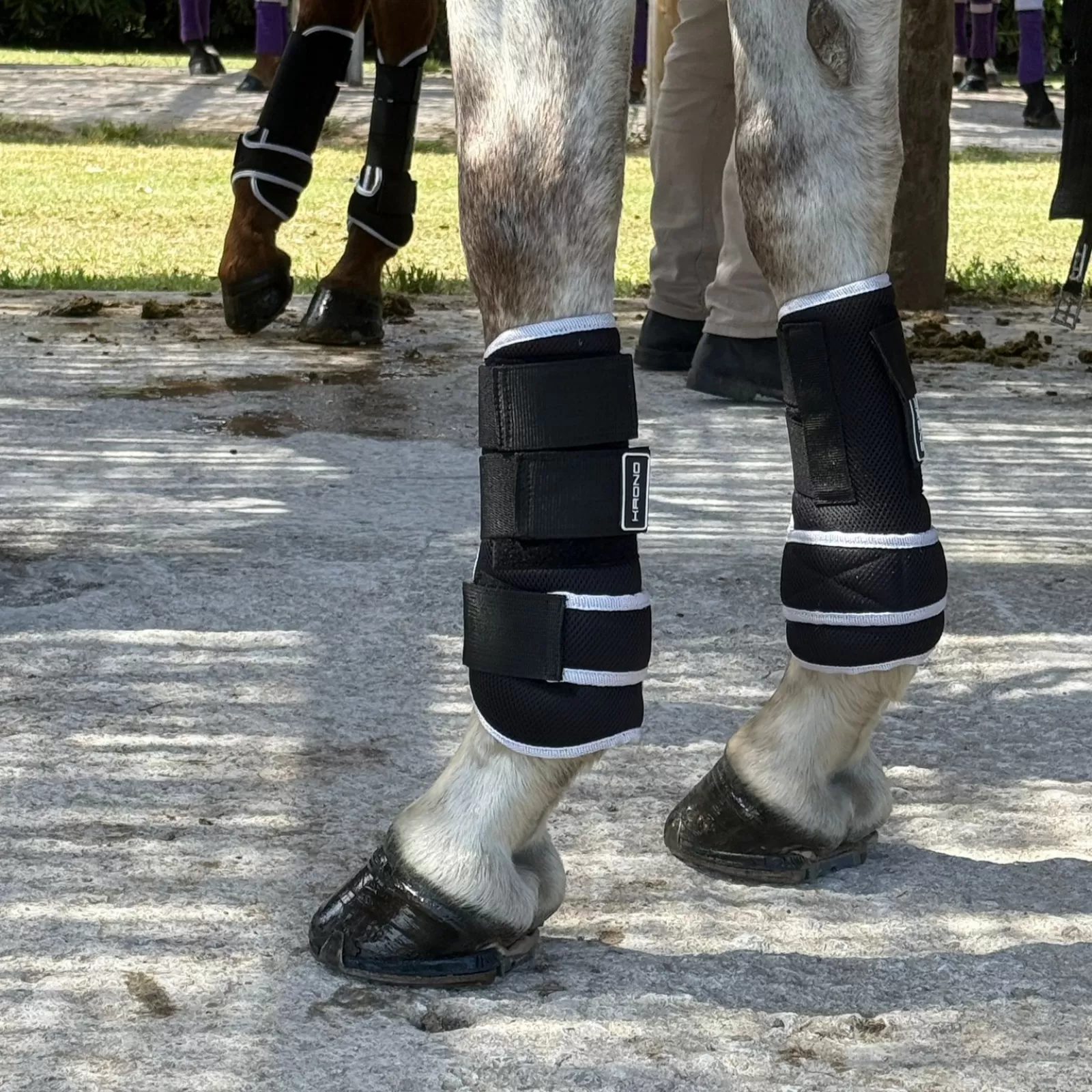 Krono Horse Boots Front White Krono Horse Boots Front White