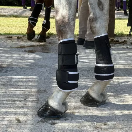 Krono Horse Boots Front White