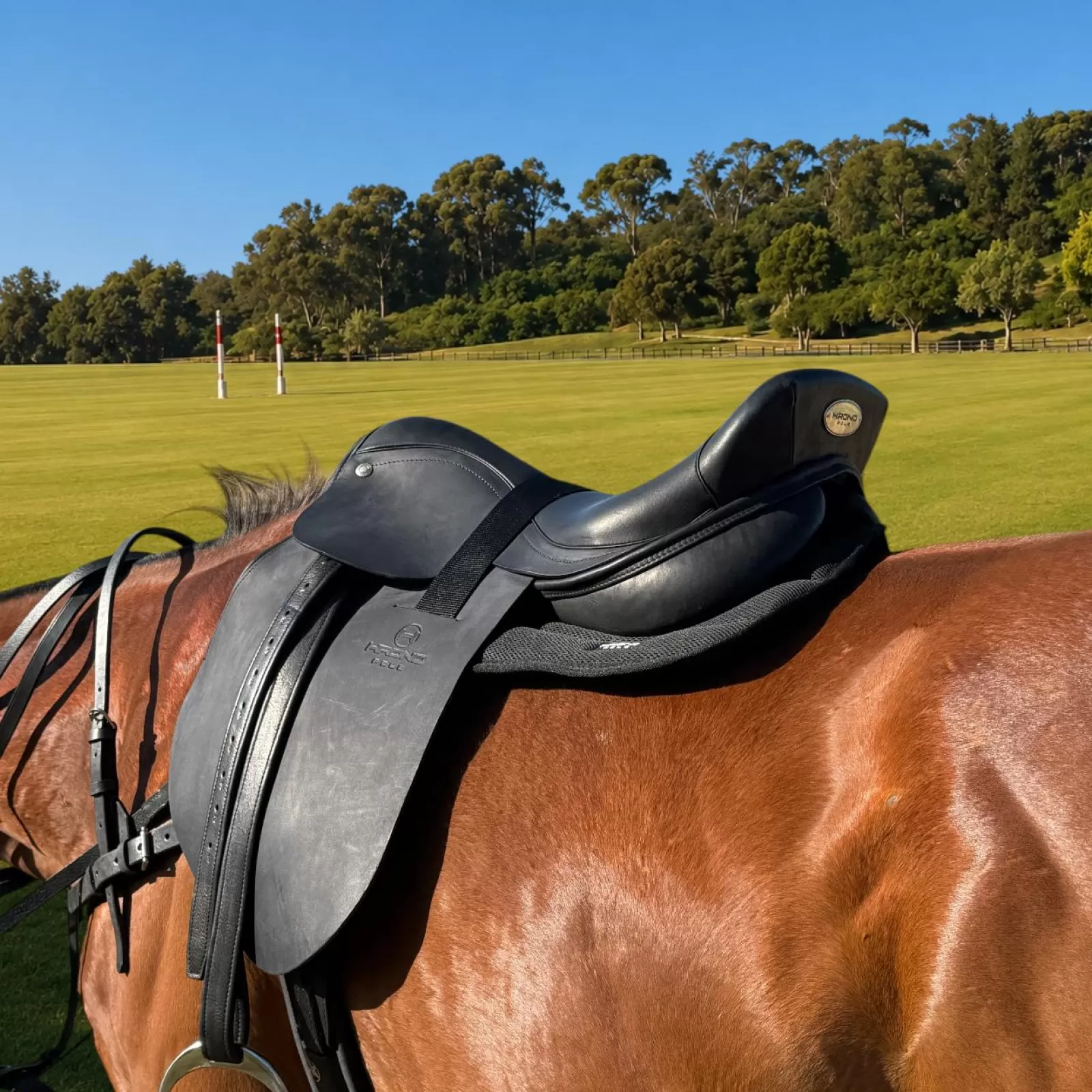 Premium High Goal Saddle Premium High Goal Saddle