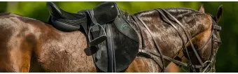 What Makes a Good Polo Saddle