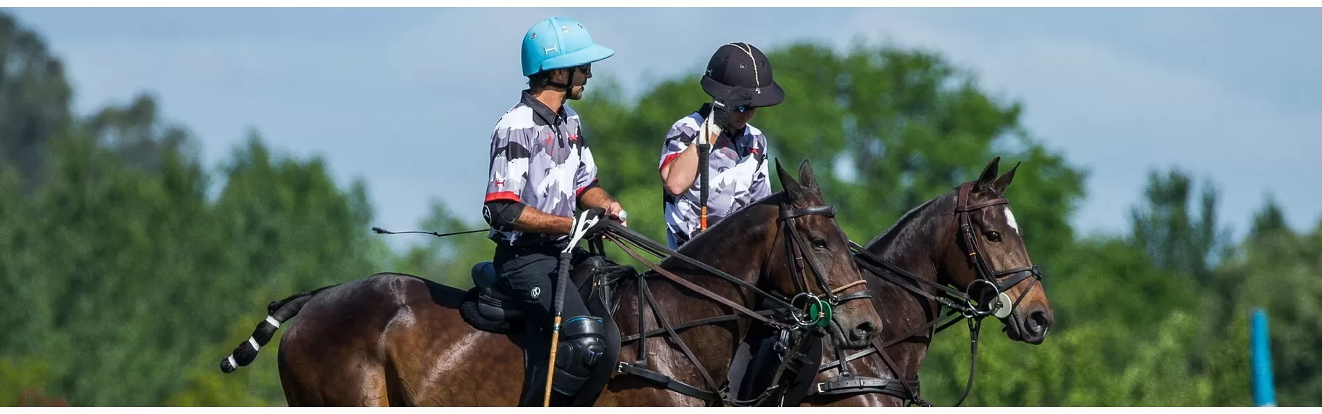 image/cache/wp/gj/BLOG%20PHOTOS/polo%20handicap-1903x596.webp