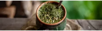 WHAT IS YERBA MATE?