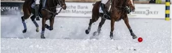 HORSESHOES FOR SNOW POLO HORSESHOES FOR SNOW POLO