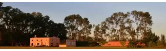 LA TARDE POLO HOLIDAYS LA TARDE POLO HOLIDAYS