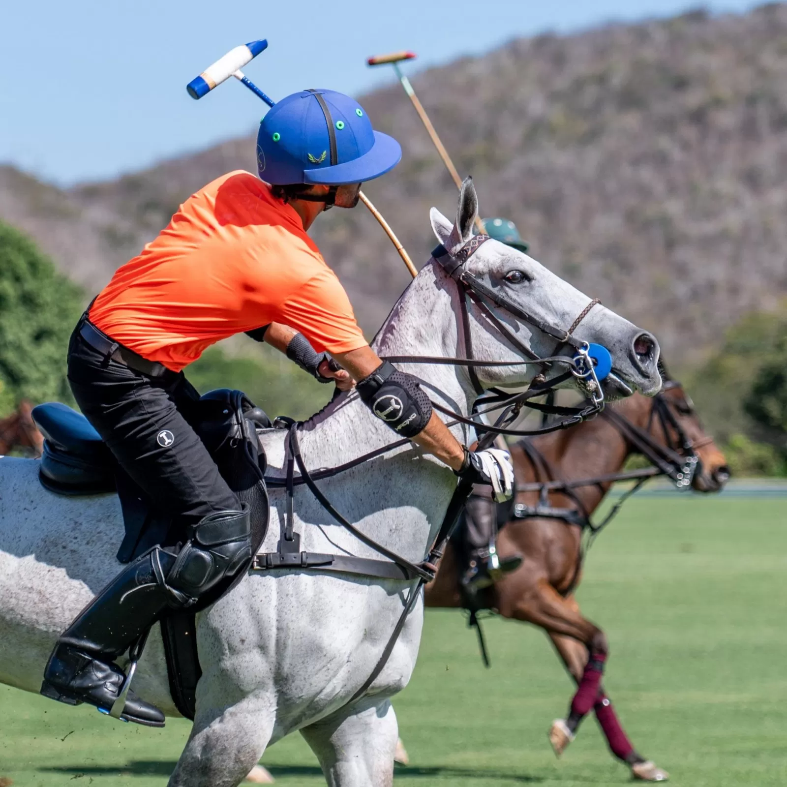 The Elbow Guards The Elbow Guards