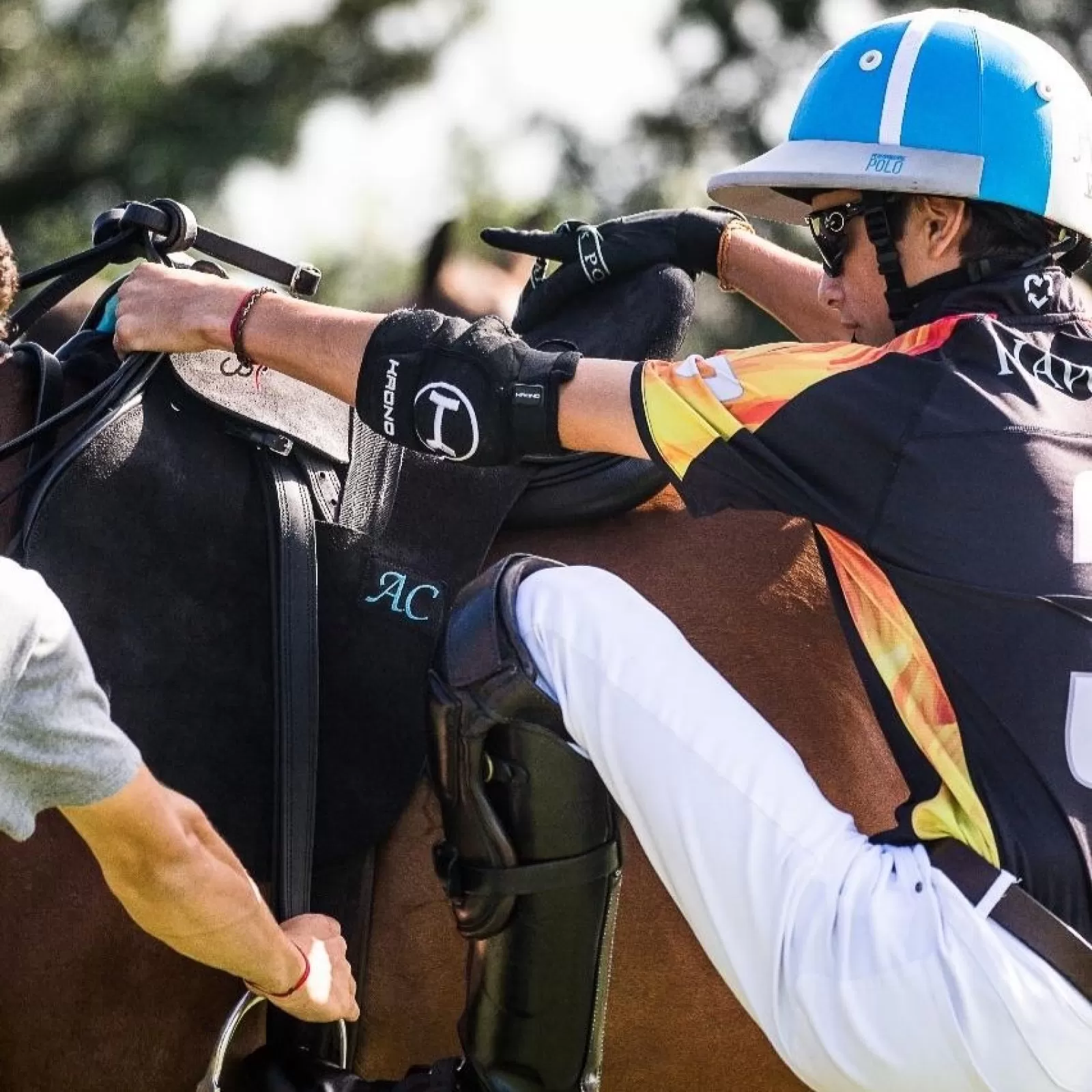 The Elbow Guards The Elbow Guards