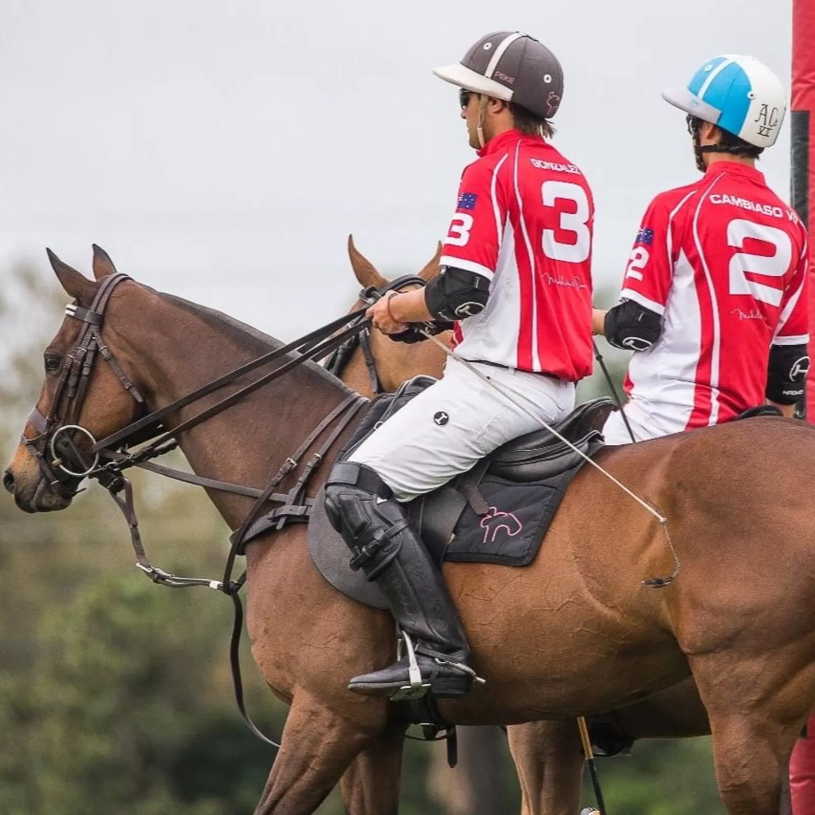 The Elbow Guards The Elbow Guards