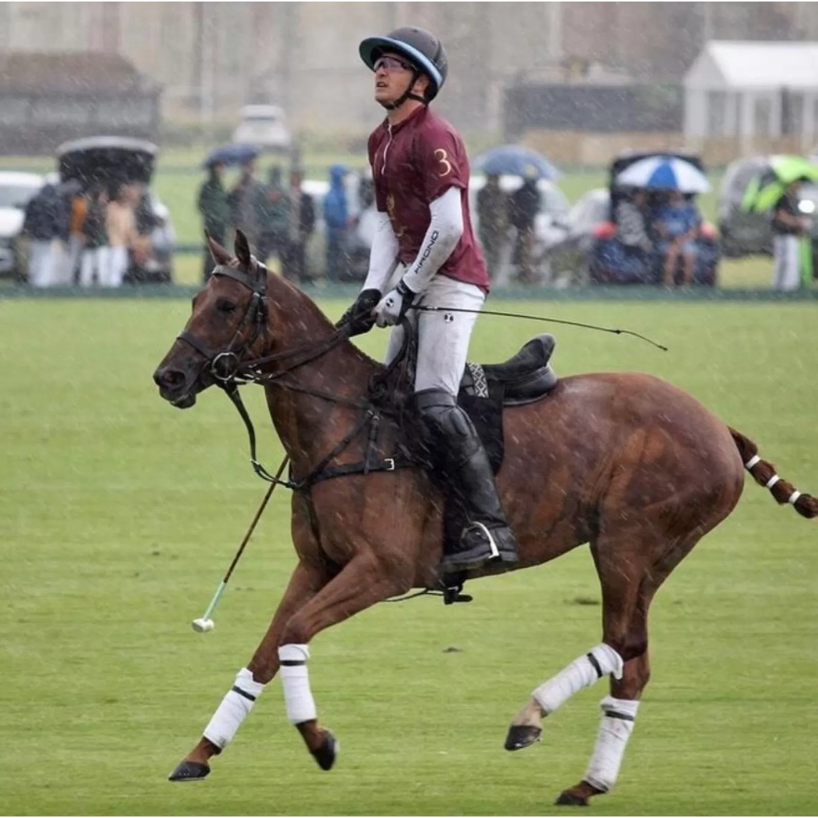 High Goal Polo Gloves High Goal Polo Gloves