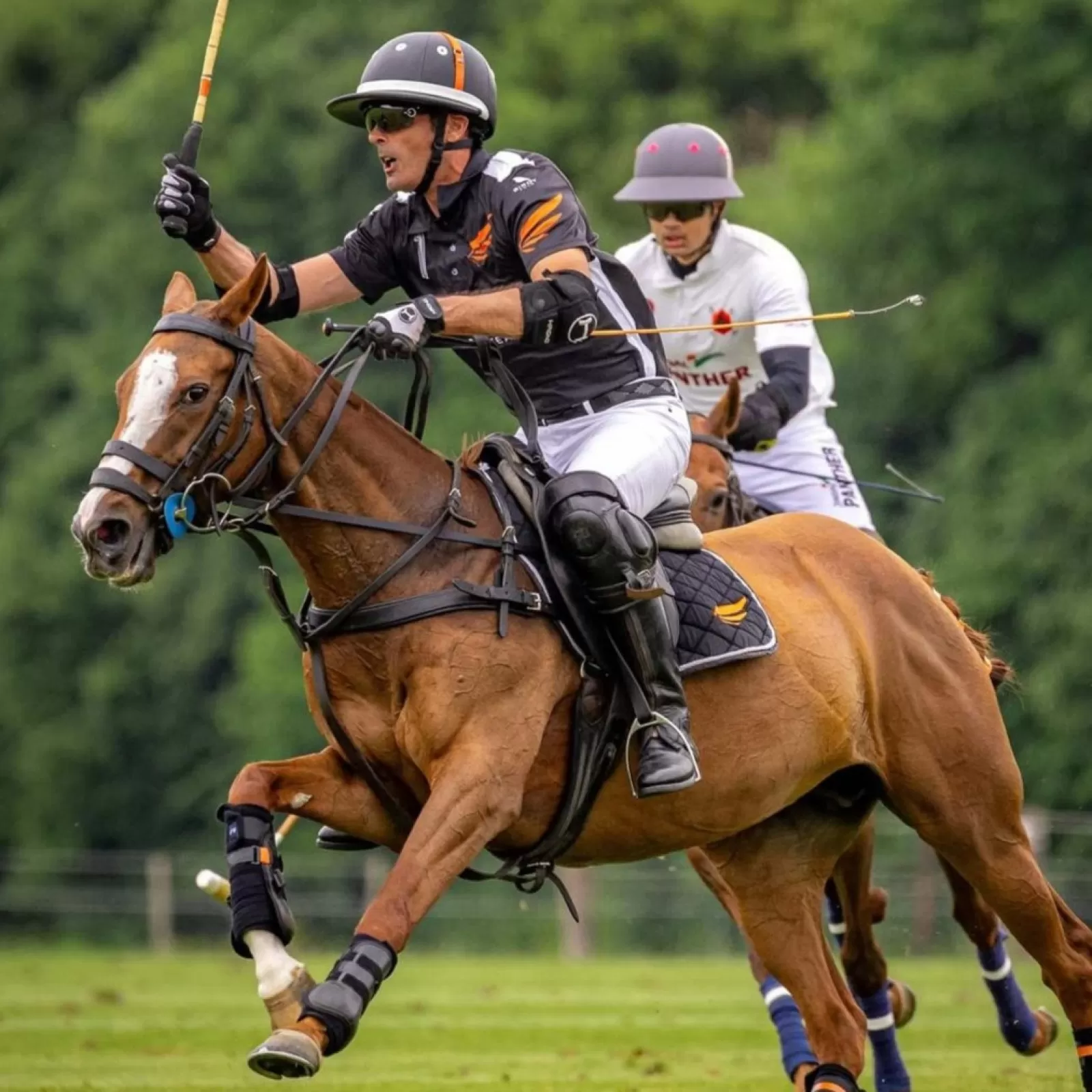 High Goal Carbon Polo Gloves High Goal Carbon Polo Gloves