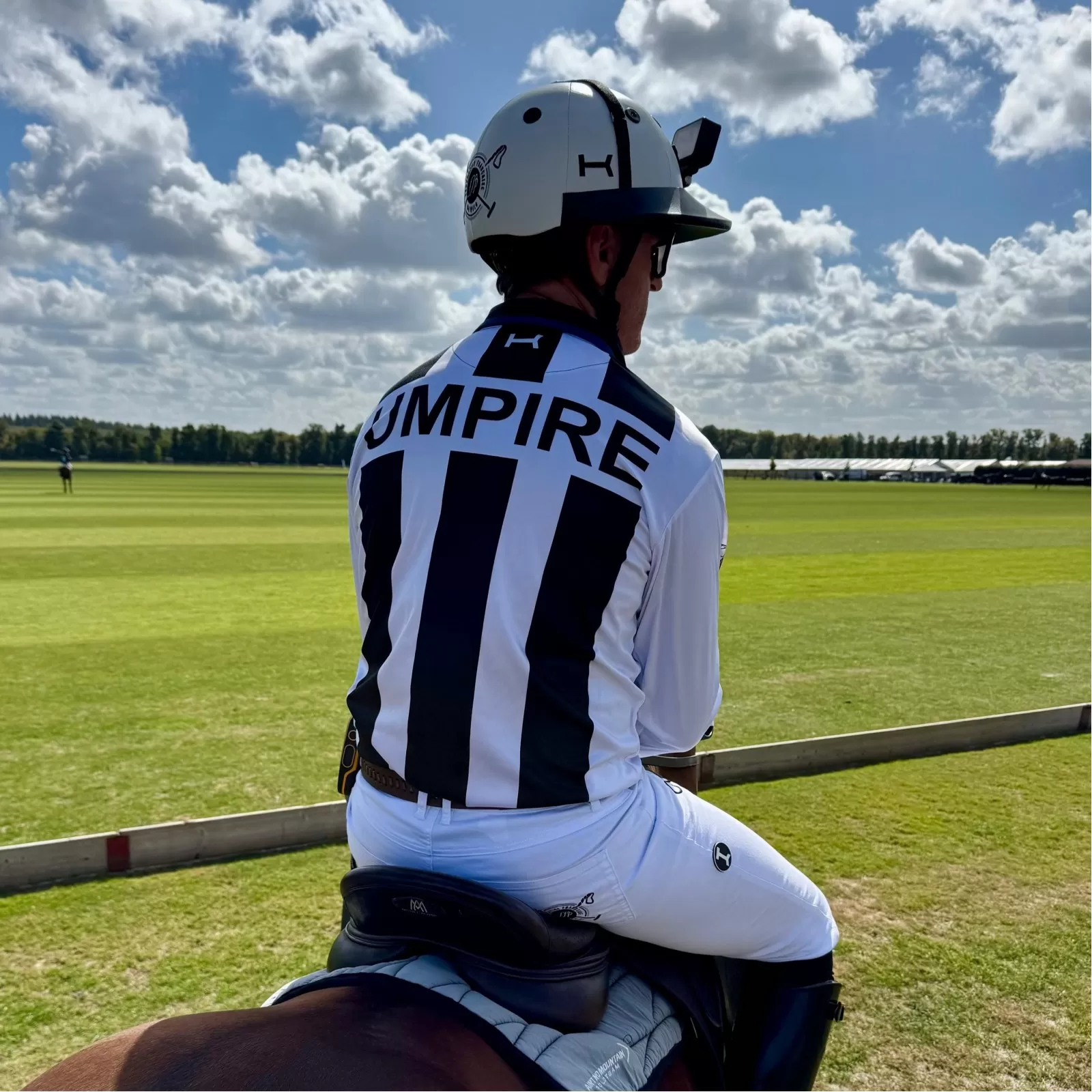 Official Umpire Helmet Official Umpire Helmet