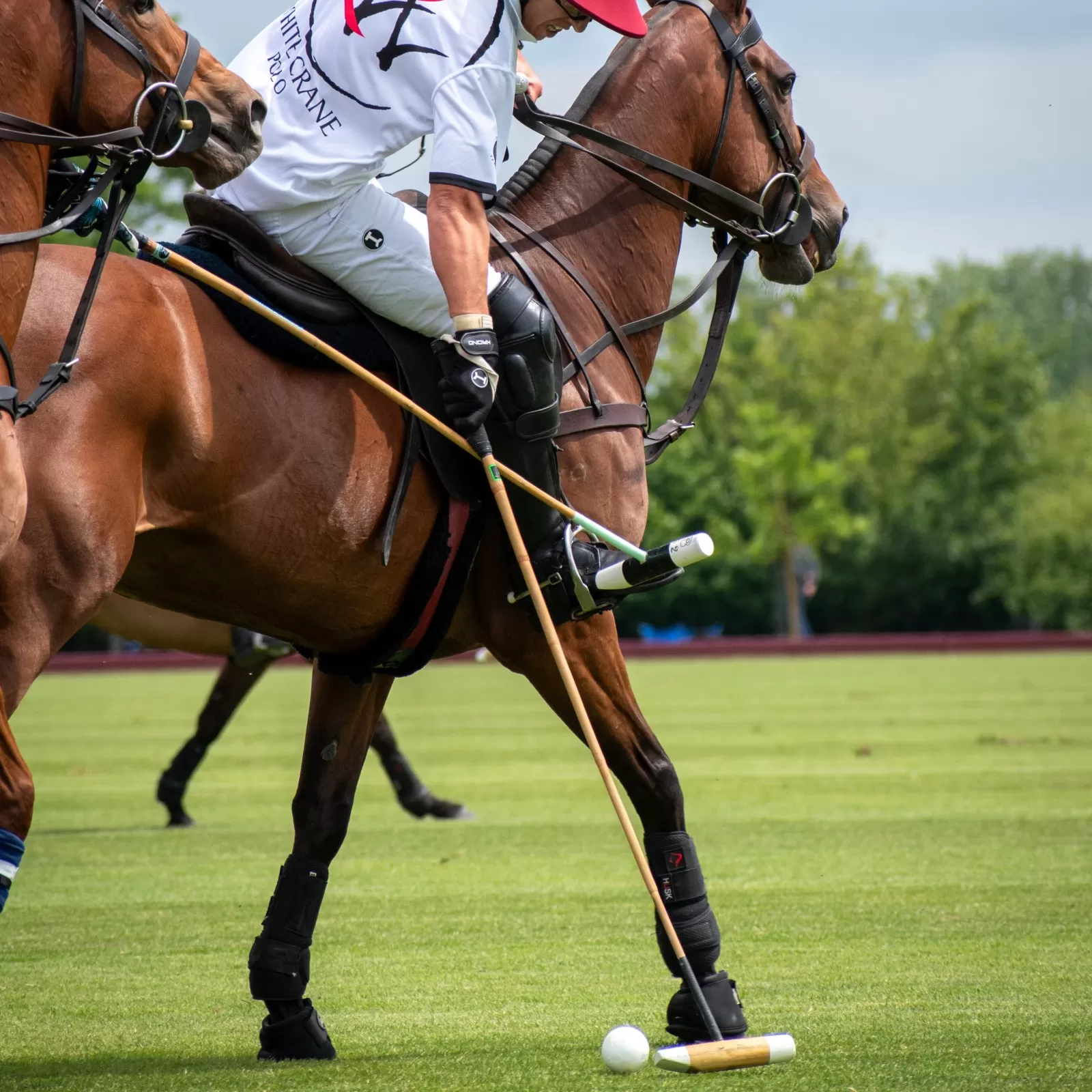 Men White Polo Trousers Men White Polo Trousers