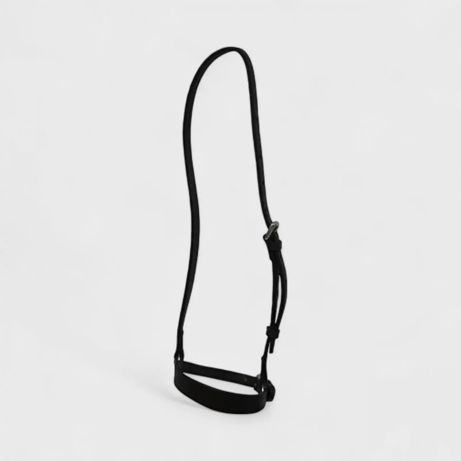 Dropped Noseband Dropped Noseband