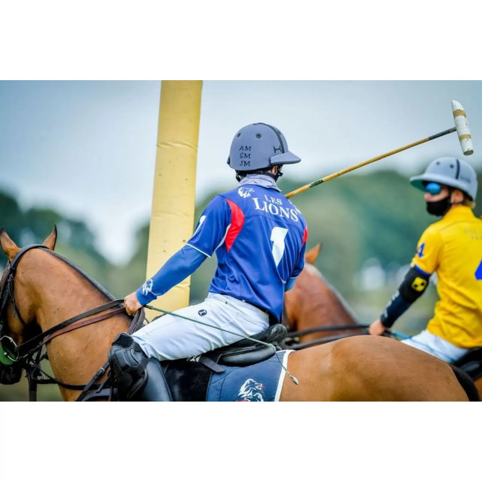 Custom Polo Helmet Custom Polo Helmet