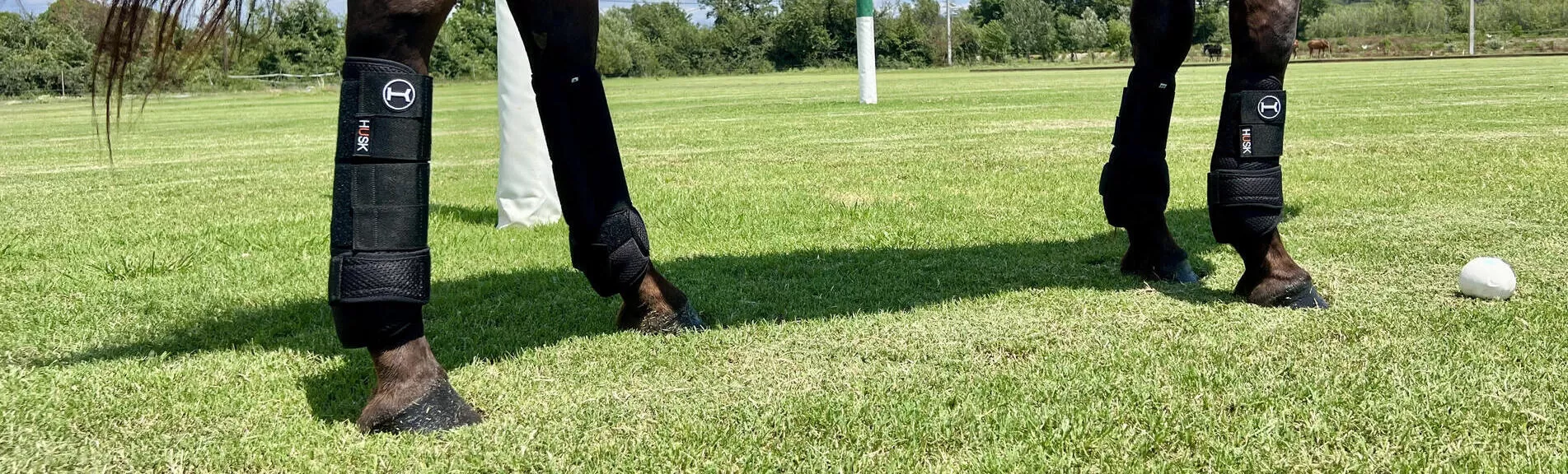 Bandages & Protectors