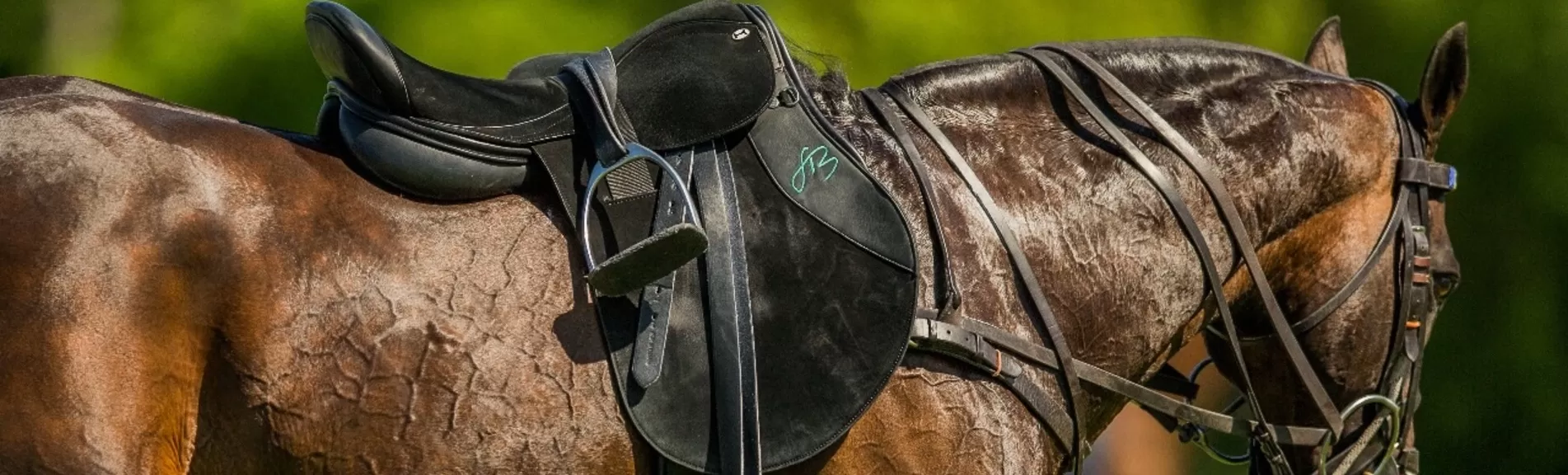 Polo Saddles