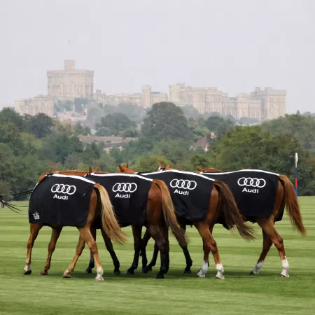 Polo Field Blankets