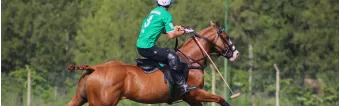 HOW TO BECOME A GOOD POLO PLAYER HOW TO BECOME A GOOD POLO PLAYER