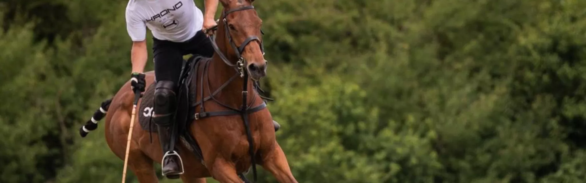 image/cache/wp/gp/Blog%20Banners/care-of-polo-boots-1903x596.webp image/cache/wp/gp/Blog%20Banners/care-of-polo-boots-1903x596.webp