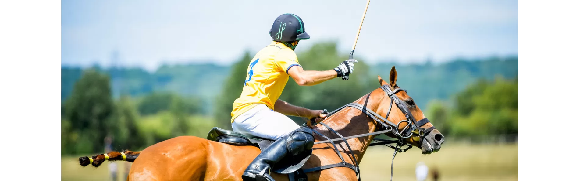 image/cache/wp/gp/Blog%20Banners/kneed-pads-for-polo-1903x596.webp image/cache/wp/gp/Blog%20Banners/kneed-pads-for-polo-1903x596.webp