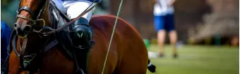 POLO PROTECTIVE GEAR: ELBOW AND KNEE GUARDS POLO PROTECTIVE GEAR: ELBOW AND KNEE GUARDS