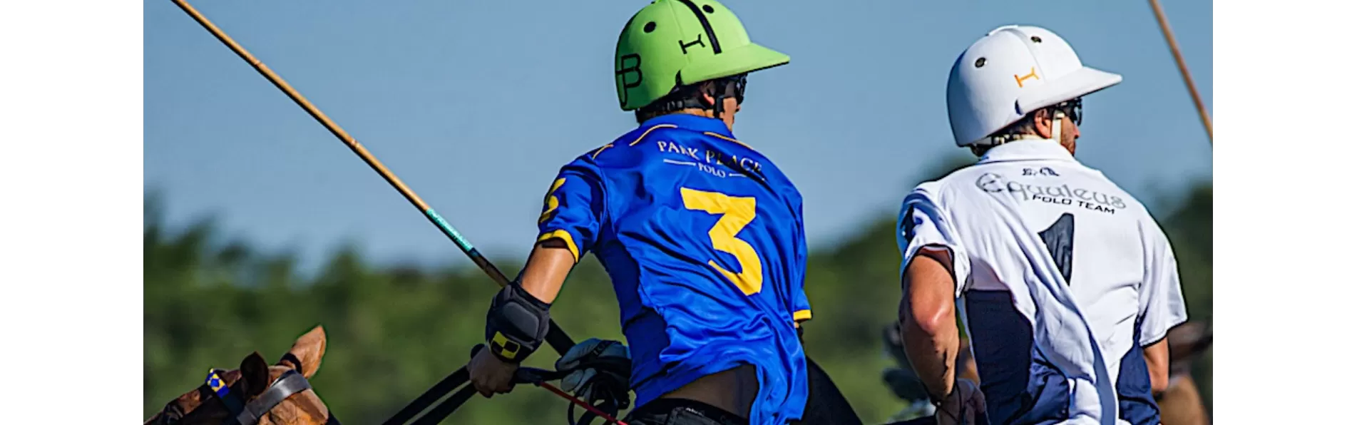 image/cache/wp/gp/Blog%20Banners/safety-polo-helmets-1903x596.webp