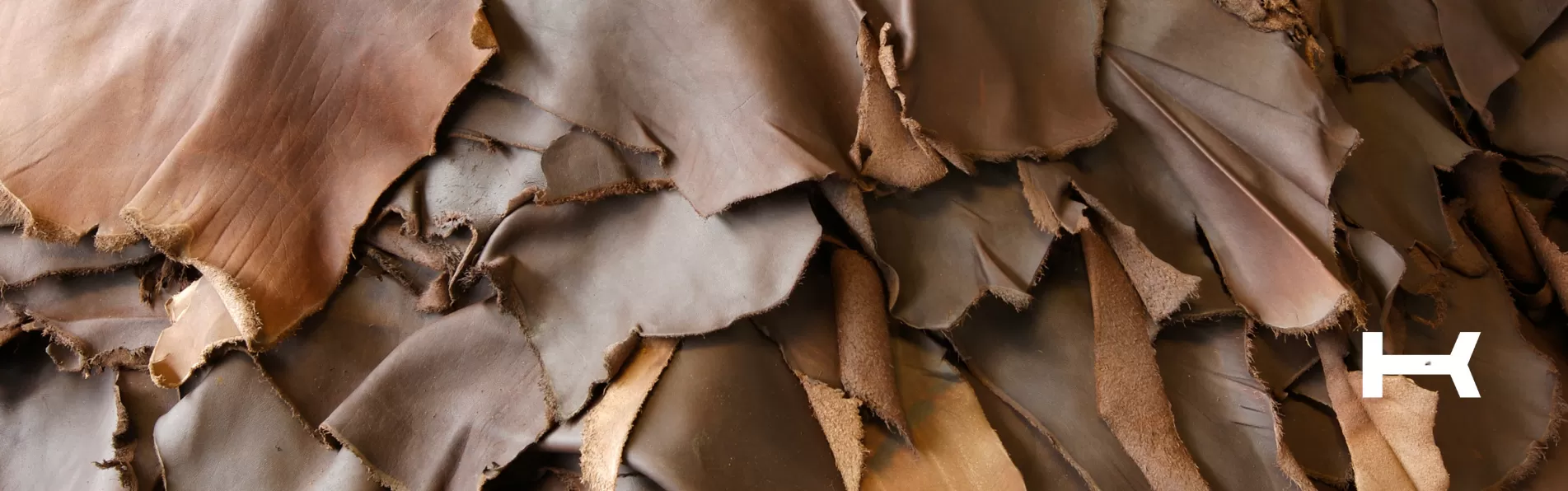 image/cache/wp/gp/Blog%20Banners/shell-cordovan-1903x596.webp image/cache/wp/gp/Blog%20Banners/shell-cordovan-1903x596.webp