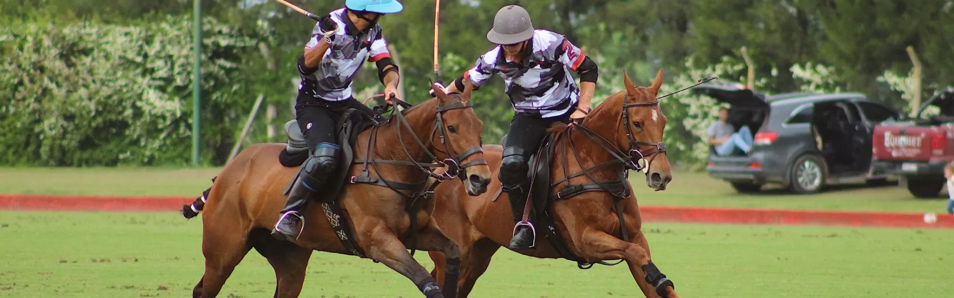 image/cache/wp/gp/Blog%20Banners/tips-for-polo-boots-1903x596.webp