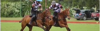 WHAT YOU NEED TO KNOW TO MAKE YOUR POLO BOOTS LAST QUICKLY WHAT YOU NEED TO KNOW TO MAKE YOUR POLO BOOTS LAST QUICKLY