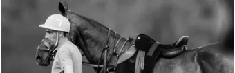 WHAT IS THE DIFFERENCE BETWEEN DOUBLE REINS AND DRAW REINS? WHAT IS THE DIFFERENCE BETWEEN DOUBLE REINS AND DRAW REINS?