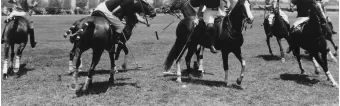 HOW CAN I MAKE MY PONY STOP BETTER? HOW CAN I MAKE MY PONY STOP BETTER?
