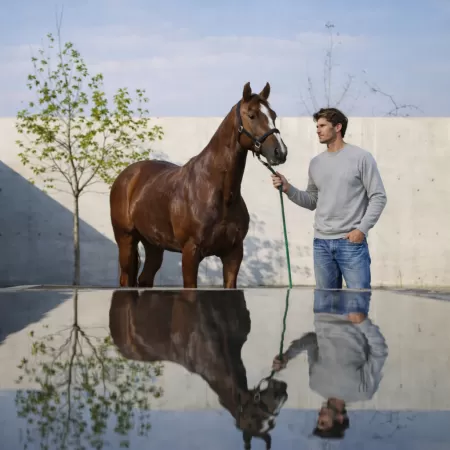 Cashmere Sweatshirt Light Grey Cashmere Sweatshirt Light Grey