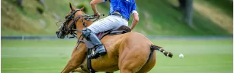 BESPOKE POLO BOOTS: MORE THAN A LUXURY BESPOKE POLO BOOTS: MORE THAN A LUXURY