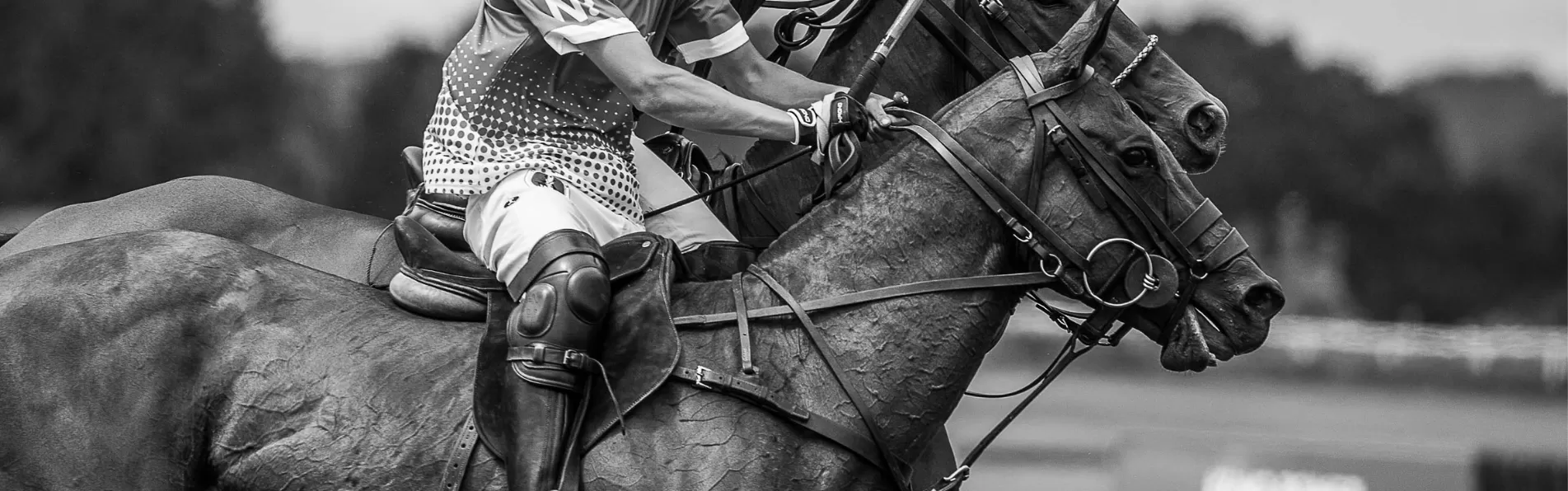 image/cache/wp/gp/NEW%20BLOG/Knee%20pads%20krono%20polo-1903x596.webp image/cache/wp/gp/NEW%20BLOG/Knee%20pads%20krono%20polo-1903x596.webp