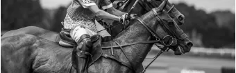 HOW TO CHOOSE A POLO KNEE PADS HOW TO CHOOSE A POLO KNEE PADS